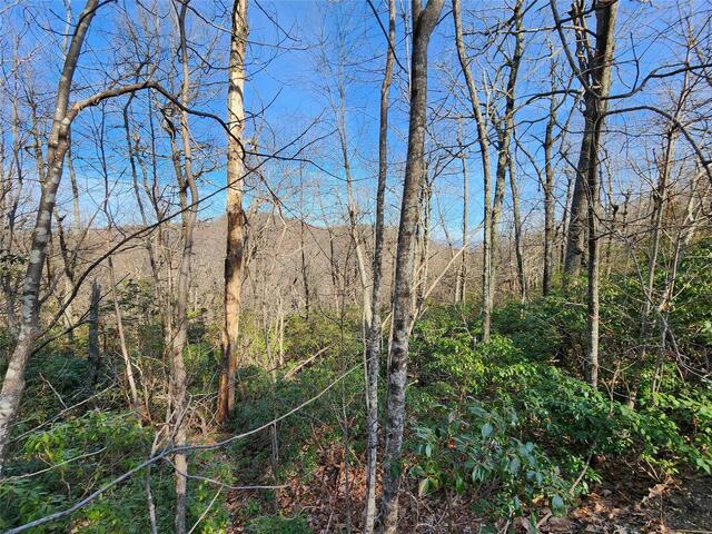 MLS# 4002506 MLS# 4002506