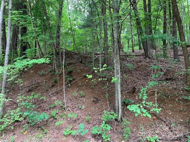 MLS# 4120766 MLS# 4120766